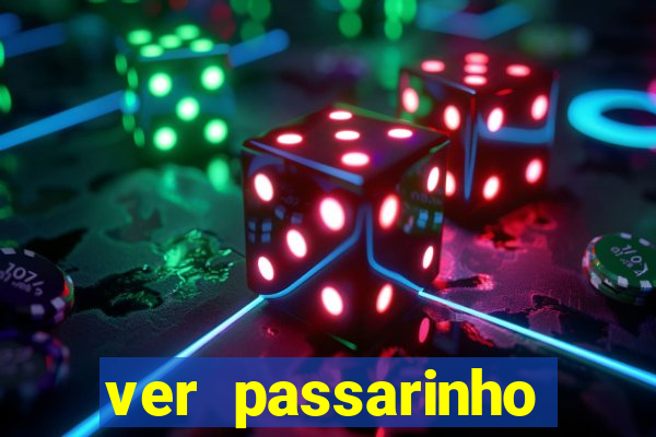ver passarinho morto significado